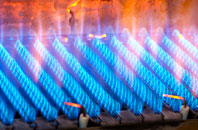 Linburn gas fired boilers